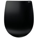 WC-Sitz C100 Schwarz oval mit Absenkautomatik