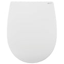 WC-Sitz C100 Weiß oval mit Absenkautomatik